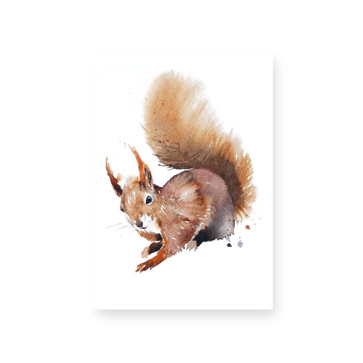 orava